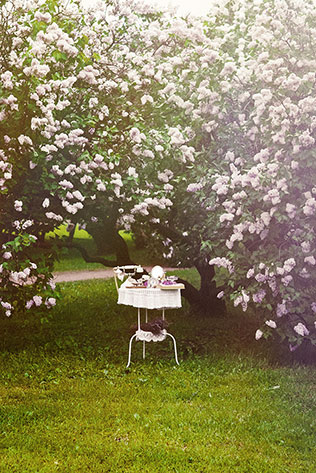 свадьба в сиреневом саду, оформление фотосессии