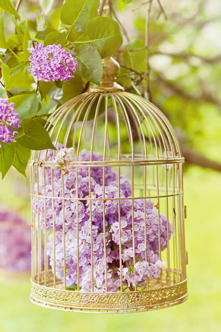 свадьба в сиреневом саду, клетка в декоре