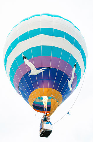 свадьба в стиле путешествия, полет на воздушном шаре