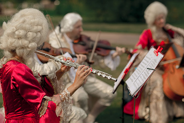 Свадьба по мотивам сказки «Золушка», оркестр