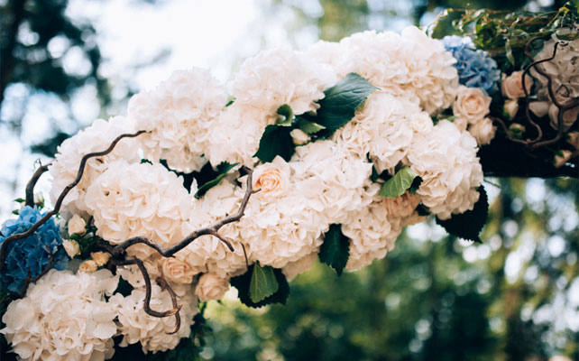 свадьба в бирюзовом цвете, декор свадебной арки