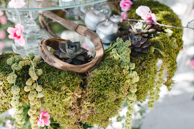 Таинственный лес, мох в декоре