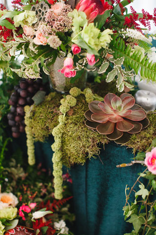 Таинственный лес, флористика