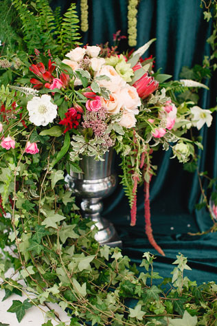 Таинственный лес, флористика