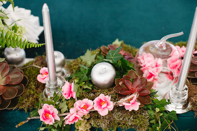 Таинственный лес, флористика