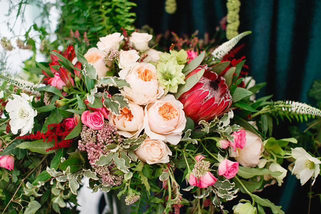 Таинственный лес, флористика