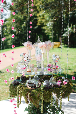 Таинственный лес, сладкий стол