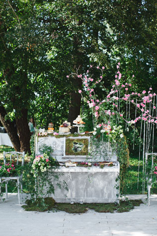 Таинственный лес, сырный стол