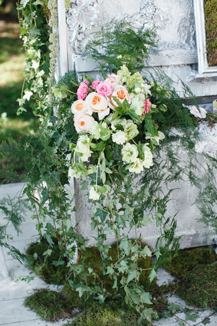 Таинственный лес, флористика