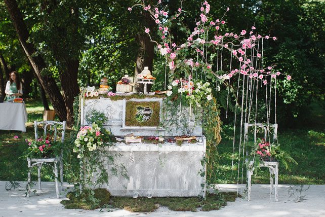 Таинственный лес, сырный стол