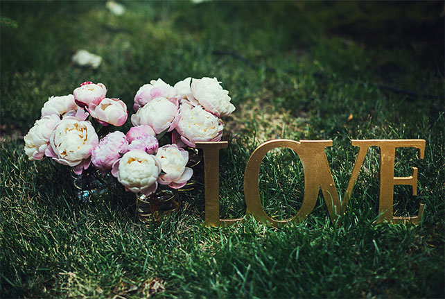 Телевизионная свадьба, надпись