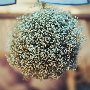 Телевизионная свадьба, флористика