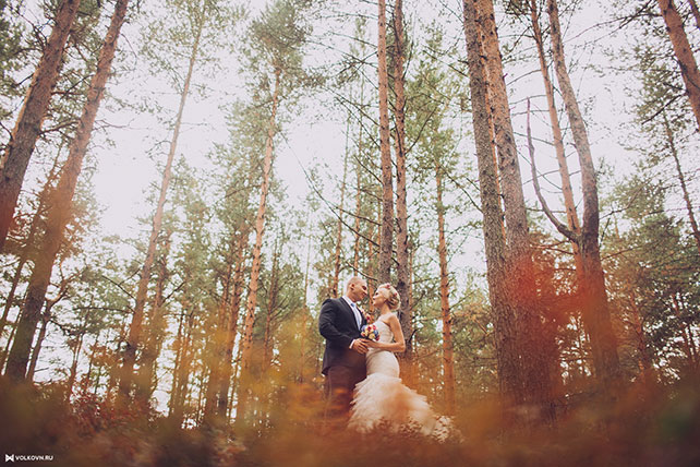 Юля и Сергей: свадьба в стиле гламурный рустик