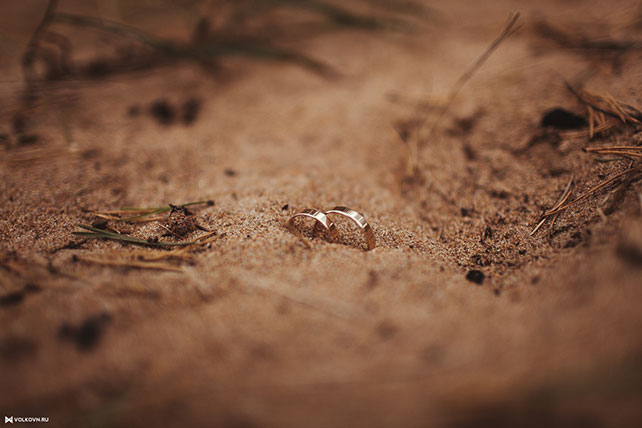 Юля и Сергей: свадьба в стиле гламурный рустик