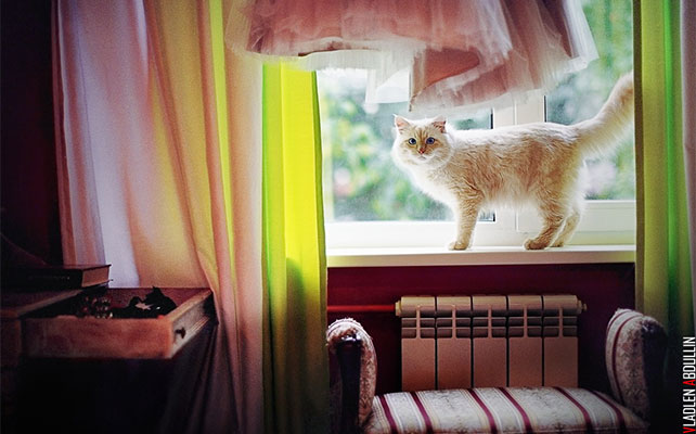 веселая ретро-свадьба, платье невесты