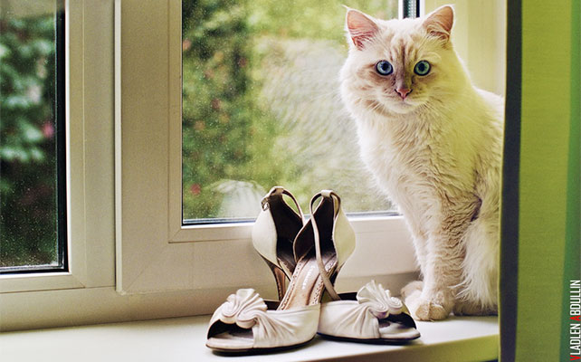 веселая ретро-свадьба, туфли невесты