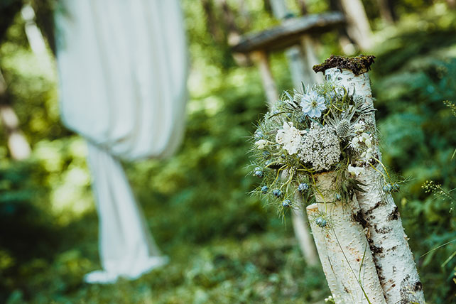 волшебная свадьба среди папоротников, декор церемонии