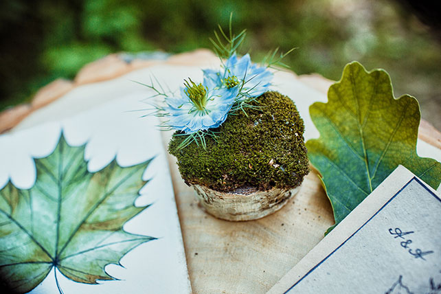 волшебная свадьба среди папоротников, декор церемонии