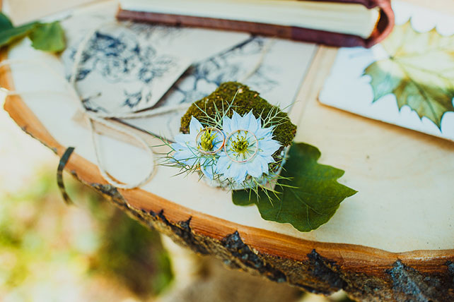 волшебная свадьба среди папоротников, кольца