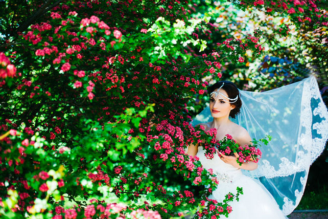 Цветущий восток, цветущий куст