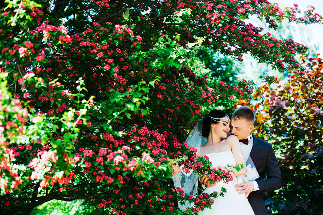 Цветущий восток, невеста и жених у цветочного куста