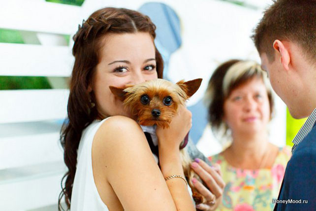 зелено-оранжевая свадьба, гости на свадьбе