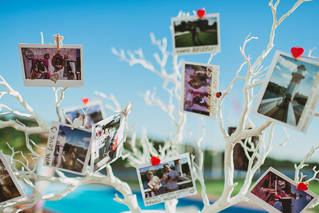 яркая свадьба у бассейна, дерево с фотографиями