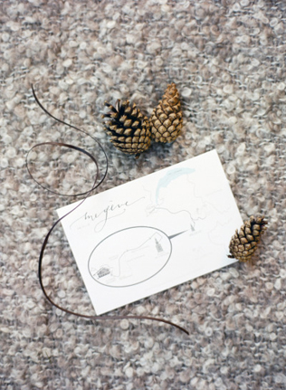 Приглашение и шишки