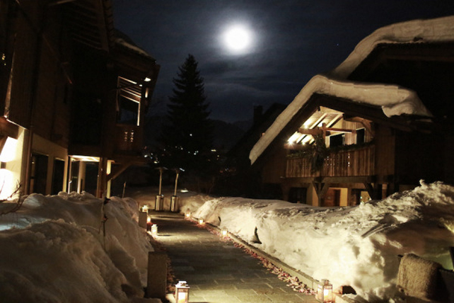 Лепестки роз на улице