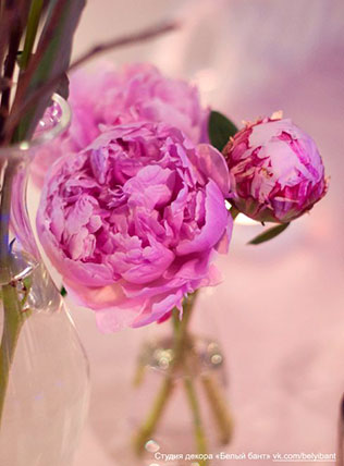 гламурная зимняя свадьба, сладкий стол