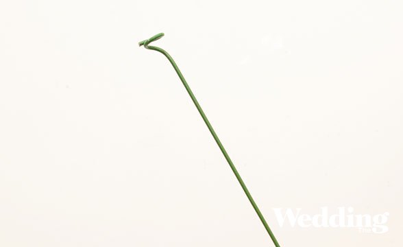 букет невесты из шишек