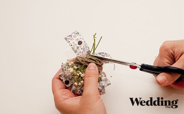 отрезать черенки гипсофилы