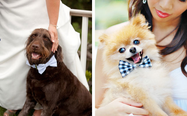 как самостоятельно сделать галстук бабочку