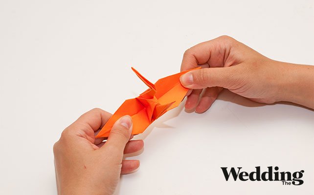 Расправить крылья журавлика